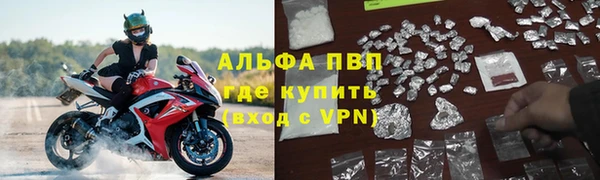каннабис Каменногорск