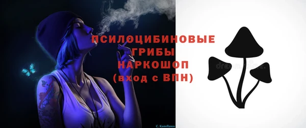 дживик Каменка