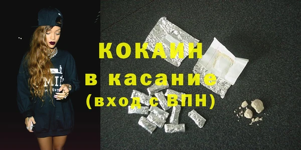 дживик Каменка