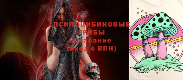 дживик Каменка