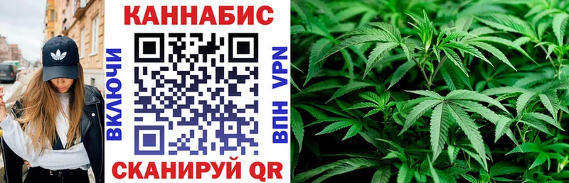 Каннабис план  Купить закладки  Избербаш 